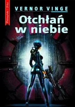 Vernor Vinge Otchłań w niebie обложка книги