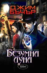 Джим Бъчър - Безумна луна
