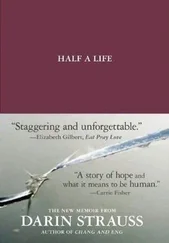 Darin Strauss - Half a Life