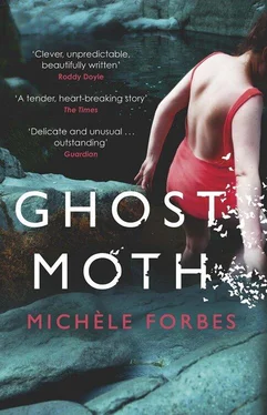 Michele Forbes Ghost Moth обложка книги