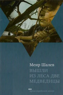 Меир Шалев Вышли из леса две медведицы обложка книги