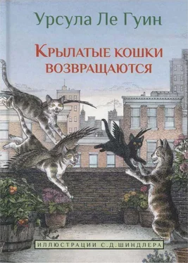 Урсула Ле Гуин Крылатые кошки возвращаются обложка книги