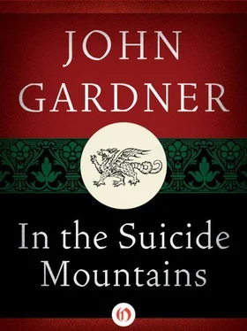 John Gardner In the Suicide Mountains обложка книги