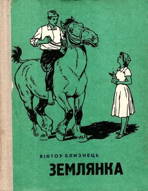 Віктор Близнець Землянка обложка книги