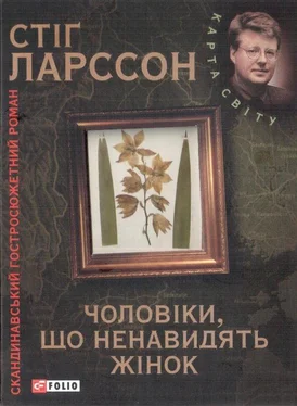 Стіґ Ларссон Чоловіки, що ненавидять жінок