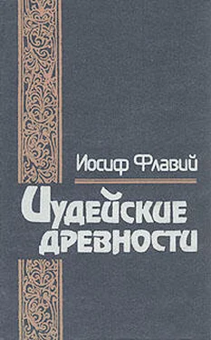 Иосиф Флавий Иудейские древности обложка книги