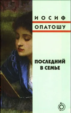 Иосиф Опатошу Последний в семье обложка книги