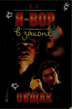 Олег Алякринский Я — вор в законе: Общак обложка книги