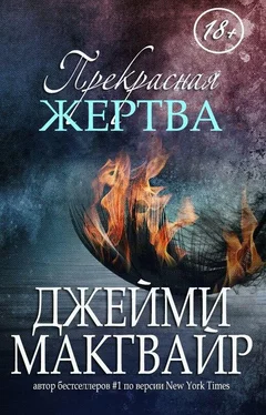 Джейми Макгвайр Прекрасная жертва (ЛП) обложка книги