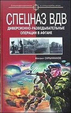 Михаил Скрынников Спецназ ВДВ. Диверсионно-разведывательные операции в Афгане обложка книги