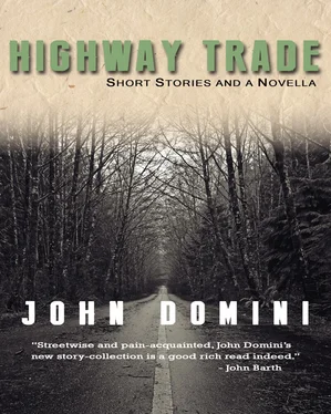 John Domini Highway Trade and Other Stories обложка книги