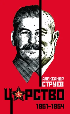 Александр Струев Царство. 1951 – 1954 обложка книги