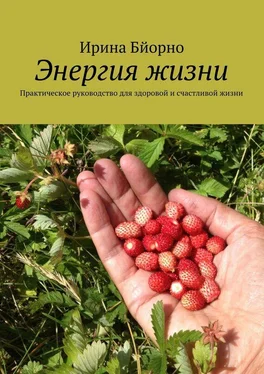 Ирина Бйорно Энергия жизни обложка книги