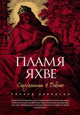 Ричард Дэвидсон Пламя Яхве. Сексуальность в Библии обложка книги