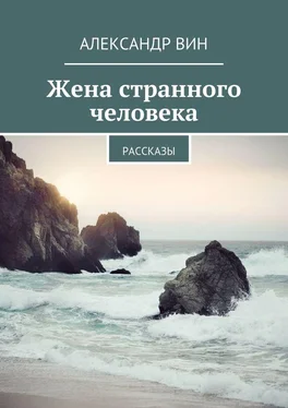 Александр Вин Жена странного человека обложка книги