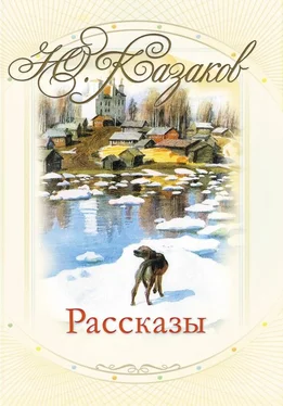 Юрий Казаков Рассказы обложка книги