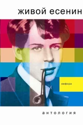 Array Антология - Живой Есенин