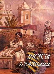 Эдди Столс - Вкусы Бразилии