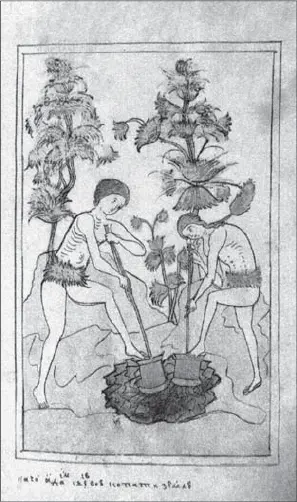 Труд Адама и Евы на земле Гравюра Библия Василия Кореня 16921696 - фото 39