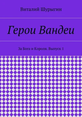 Виталий Шурыгин Герои Вандеи. За Бога и Короля. Выпуск 1 обложка книги