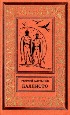 Георгий Мартынов Каллисто обложка книги