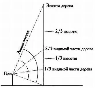 Визуальное и реальное деление предмета на три части совпадают только когда мы - фото 85