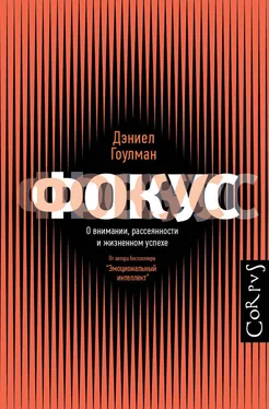 Дэниел Гоулман Фокус. О внимании, рассеянности и жизненном успехе обложка книги