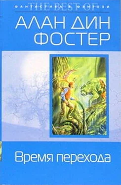 Алан Фостер Время перехода обложка книги