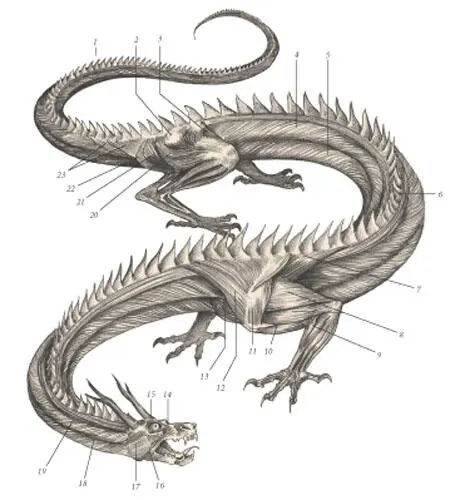иллюстрация 2 1 Tail 2 Tensor fasciae latae 3 Sartorius 4 - фото 87