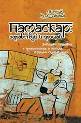 Евгений Рудашевский - Намаскар - здравствуй и прощай (заметки путевые о приключениях и мыслях, в Индии случившихся)