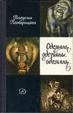 Наталья Пожарицкая Обезьяны, обезьяны, обезьяны... обложка книги