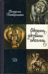 Наталья Пожарицкая - Обезьяны, обезьяны, обезьяны...