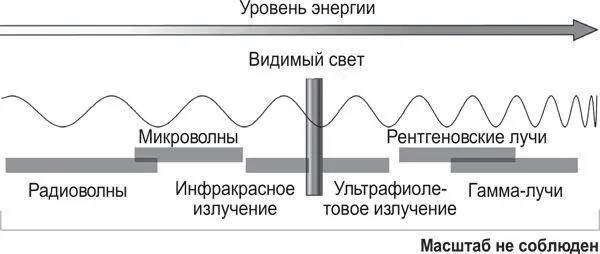 Спектр электромагнитного излучения За ультрафиолетовым излучением следуют - фото 13