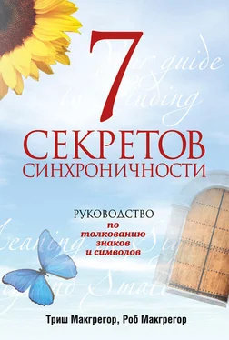 Триш Макгрегор 7 секретов синхроничности. Руководство по толкованию знаков и символов обложка книги