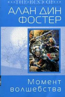 Алан Фостер Момент волшебства обложка книги