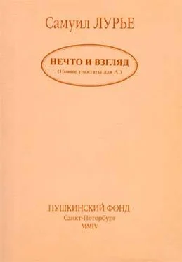 Самуил Лурье Нечто и взгляд обложка книги