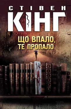 Стівен Що впало, те пропало обложка книги