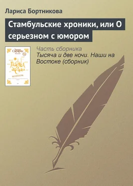 Лариса Бортникова Стамбульские хроники, или О серьезном с юмором обложка книги