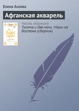 Елена Асеева Афганская акварель обложка книги