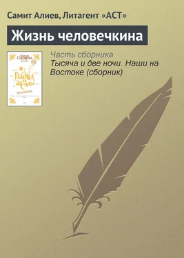 Самит Алиев Жизнь человечкина обложка книги