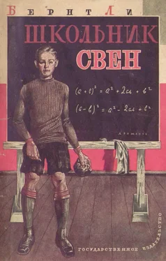 Бенрт Ли Школьник Свен (из норвежской жизни) обложка книги