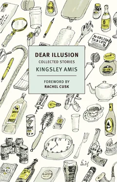 Kingsley Amis Dear Illusion: Selected Stories обложка книги