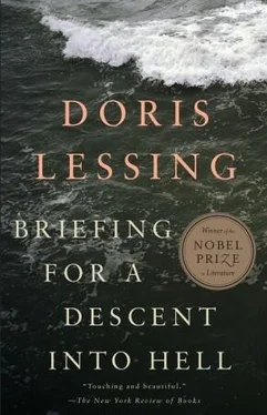 Doris Lessing Briefing for a Descent into Hell обложка книги