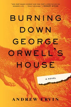 Andrew Ervin Burning Down George Orwell's House обложка книги