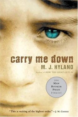 M. Hyland Carry Me Down обложка книги