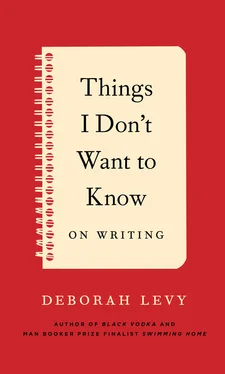 Levy Deborah Things I Don't Want to Know обложка книги