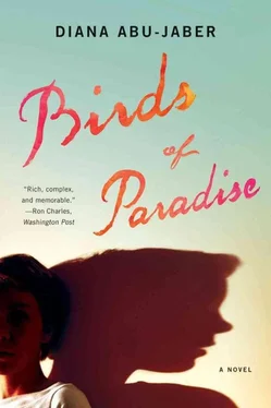 Diana Abu-Jaber Birds of Paradise обложка книги