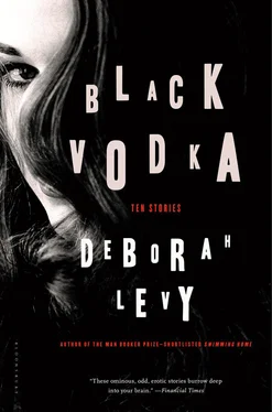 Deborah Levy Black Vodka обложка книги