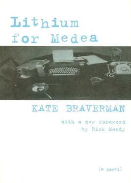 Kate Braverman Lithium for Medea обложка книги