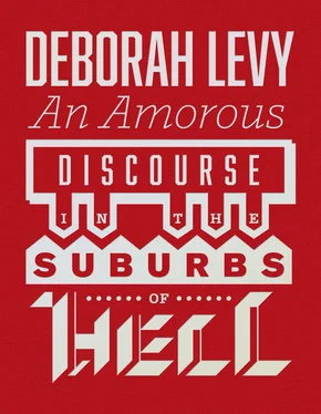 Deborah Levy An Amorous Discourse in the Suburbs of Hell обложка книги